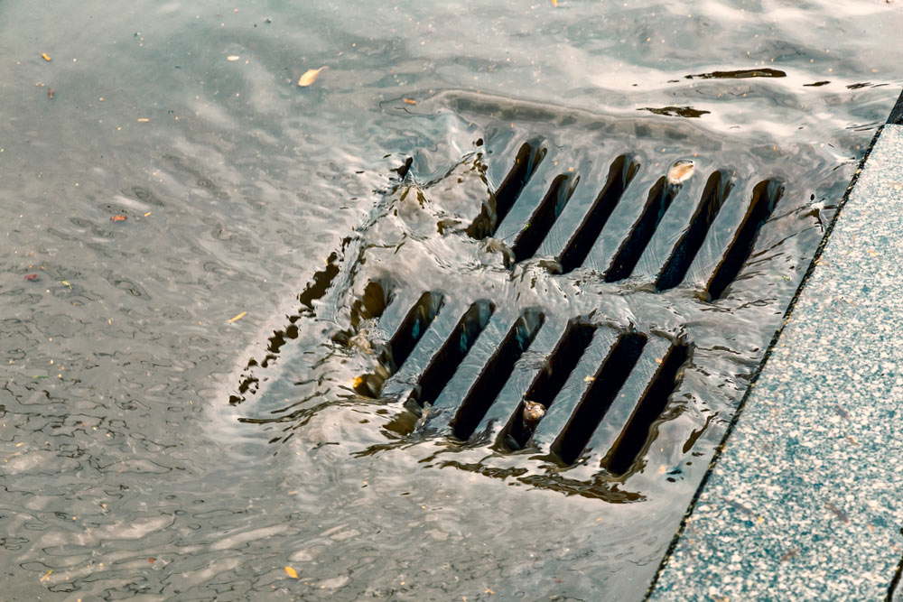 Close-up Of A home Stormwater Drain on the Sunshine Coast