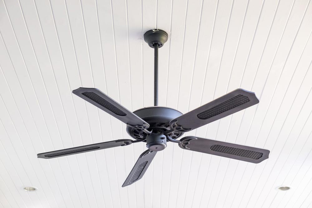 Black Colour Ceiling Fan