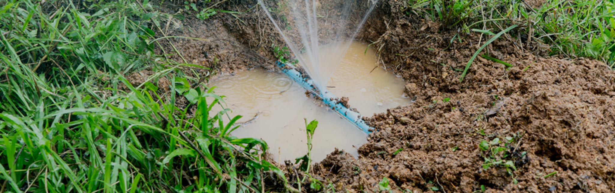 Burst Pipes
