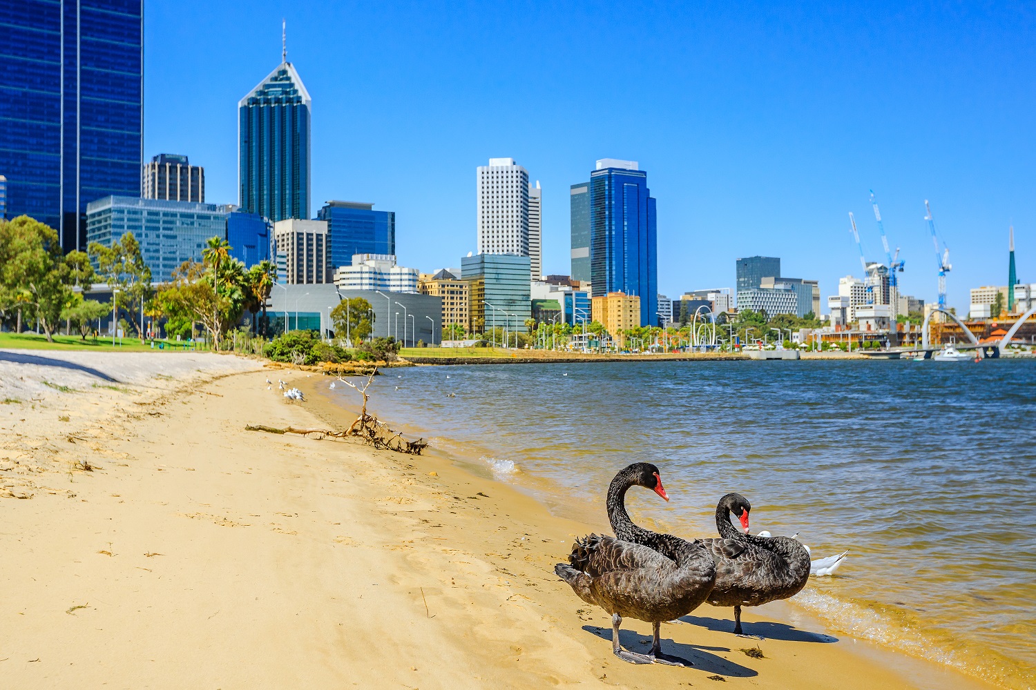 About Perth's Eastern Suburbs