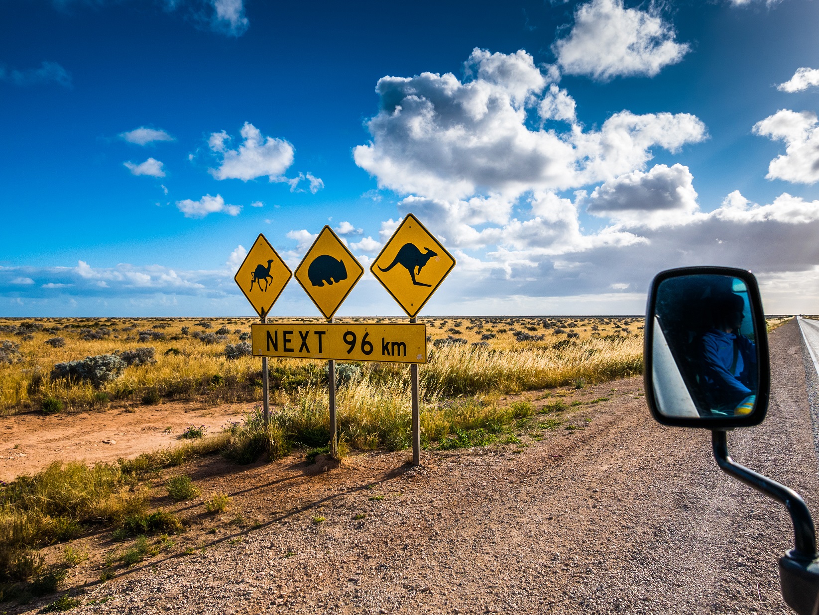 Tips For a Wildlife-Safe Road Trip