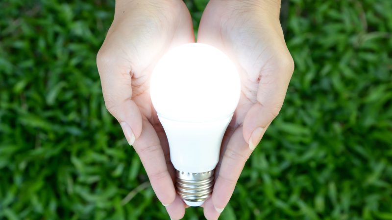 Shed A Light On Energy Efficiency