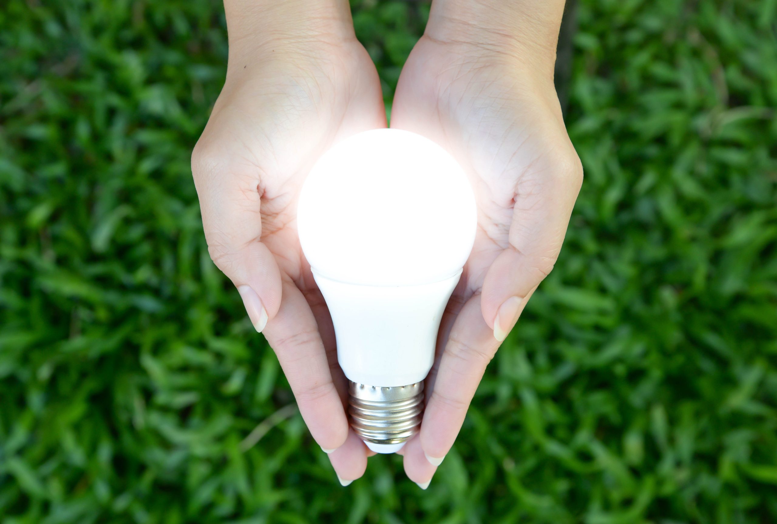 Shed A Light On Energy Efficiency