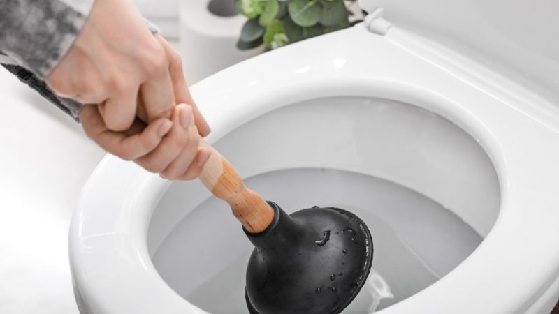 What To Do When Your Toilet Won't Unclog