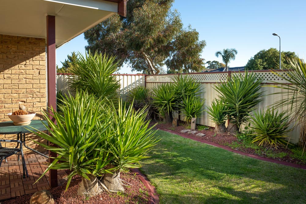 Trees Planted Around The House