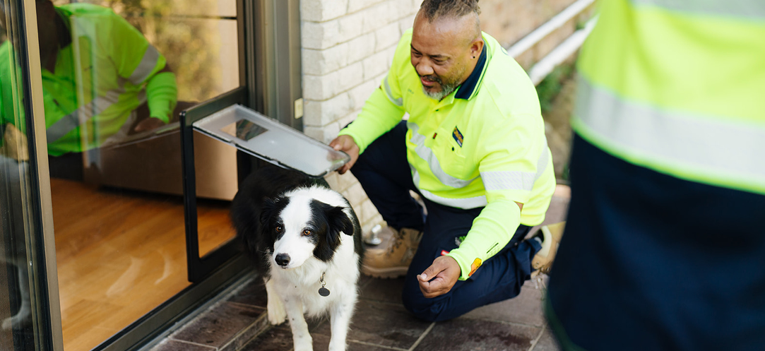 How Our Glaziers Install Pet Doors In Glass