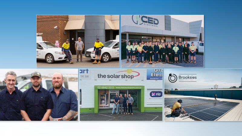 Introducing Our Five Newest Network Members 2024