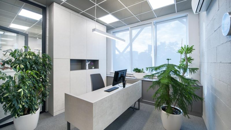 Discover The Different Types Of LED Lights For Your Home And Business