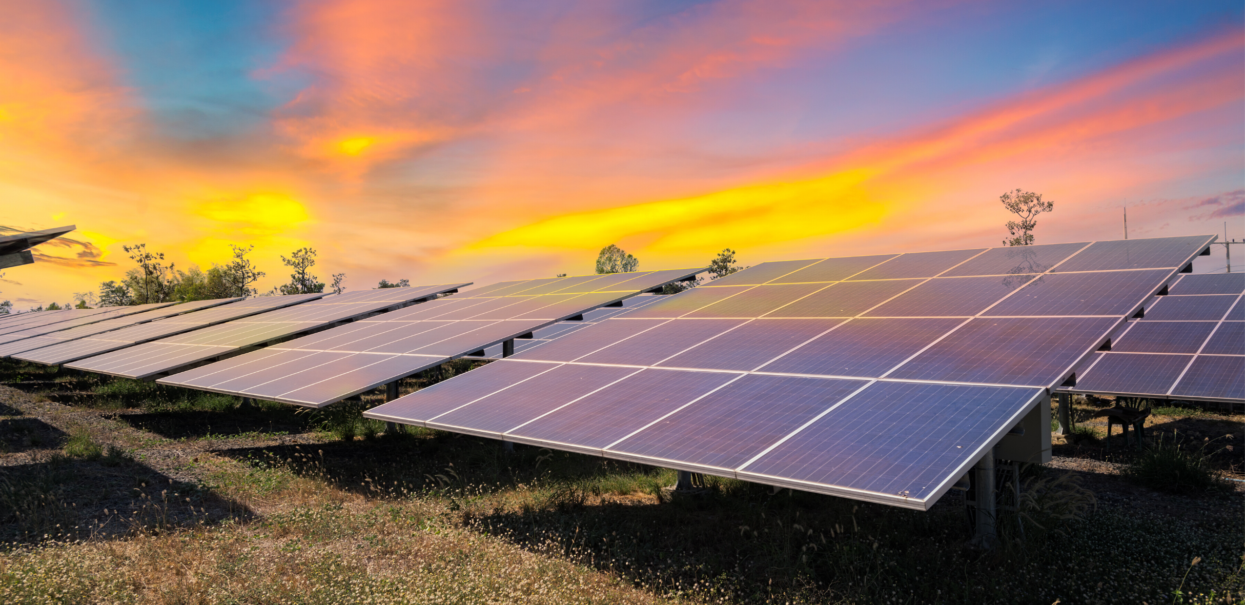 2025 Solar Rebates in Taree: O’Brien’s Guide to Government Incentives