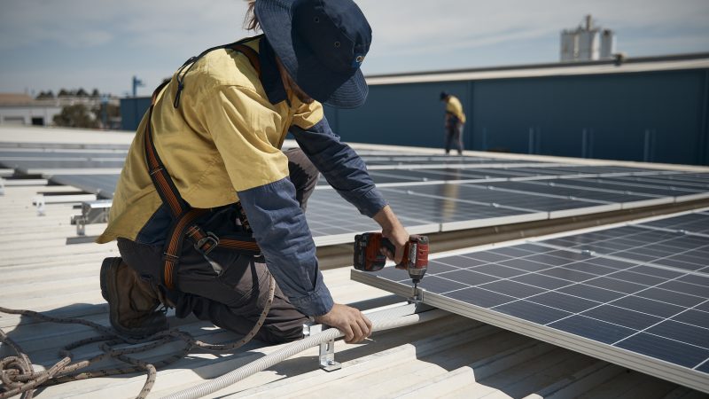 Top-Rated Solar Installers in Port Macquarie: Why O'Brien Electrical Stands Out