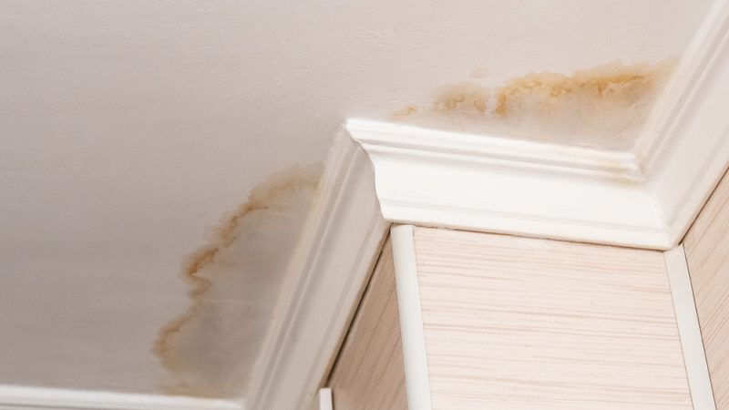 What Are The Common Signs Of A Plumbing Leak In A Residential Property?