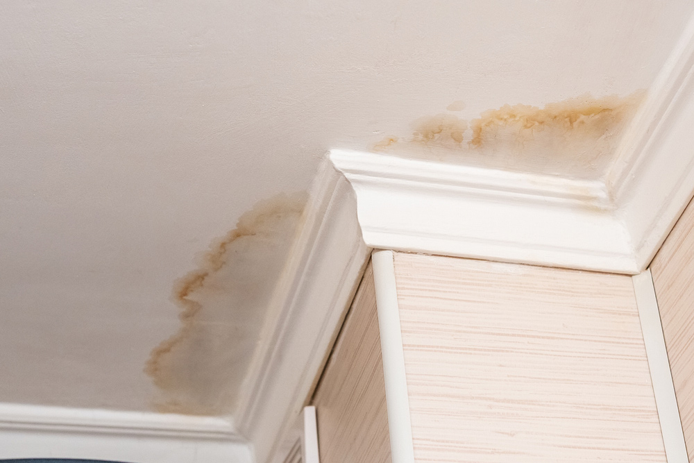 What Are The Common Signs Of A Plumbing Leak In A Residential Property?