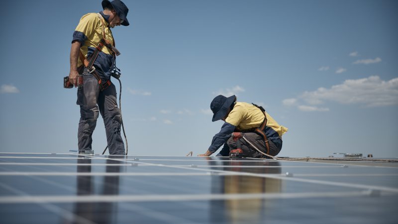 Solar Panel Maintenance in Port Macquarie: A Homeowner's Guide