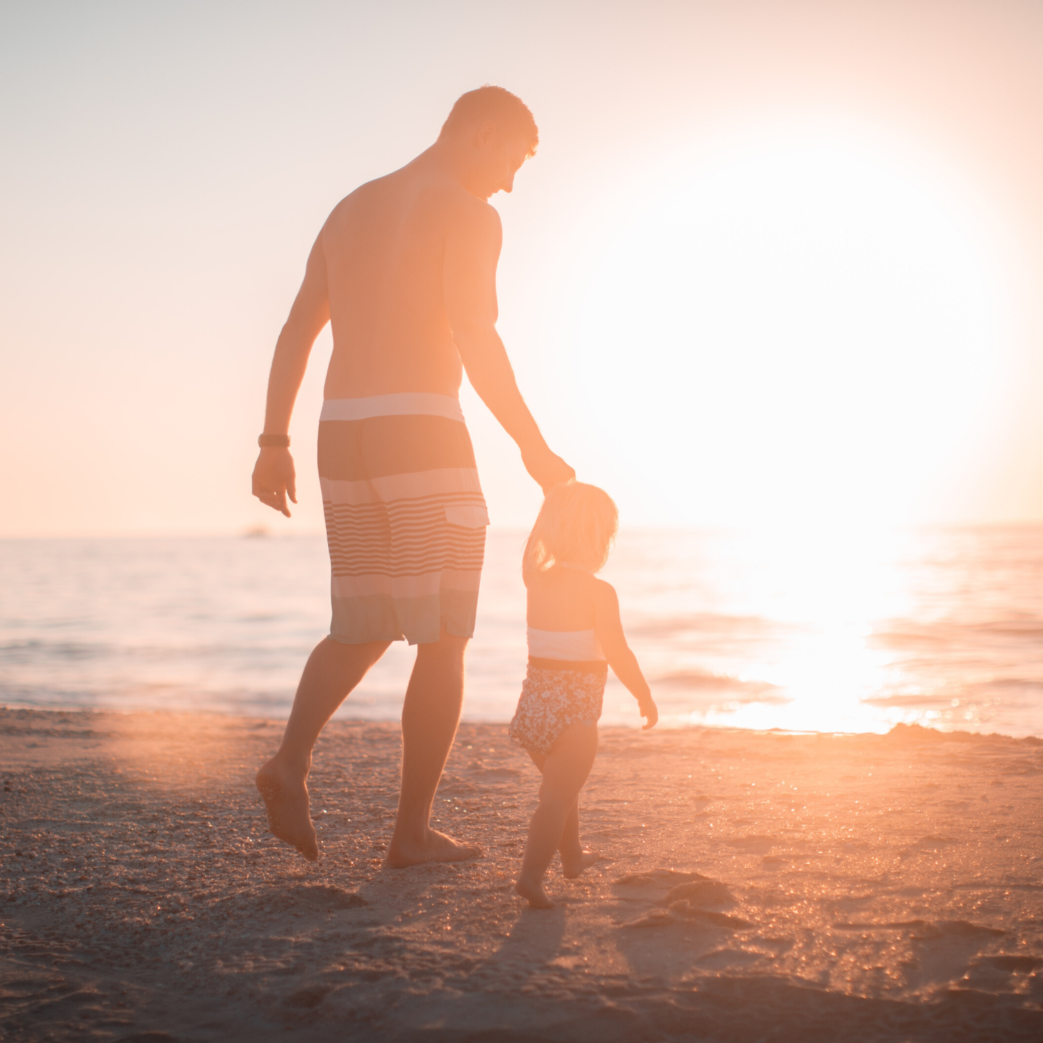 photo asset from obrien hervey bay's solar panels page to help locals' questions related to: solar battery price, deep cycle battery and many more.