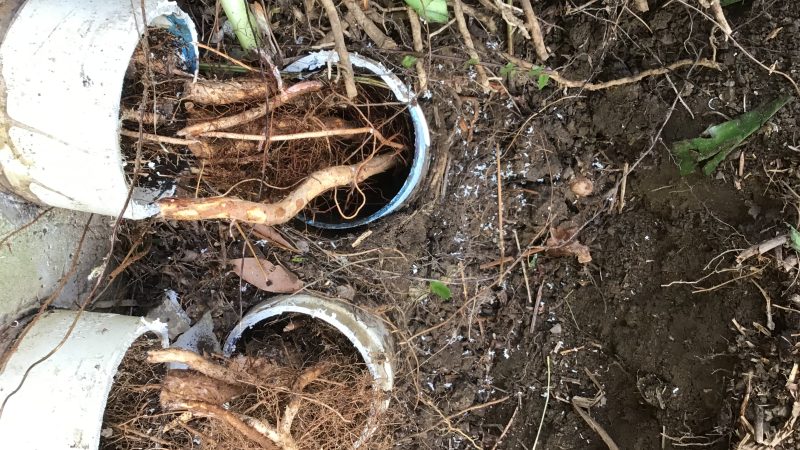 Emergency Water Tank Repair Before Incoming Rain | Coffs Harbour Case Study