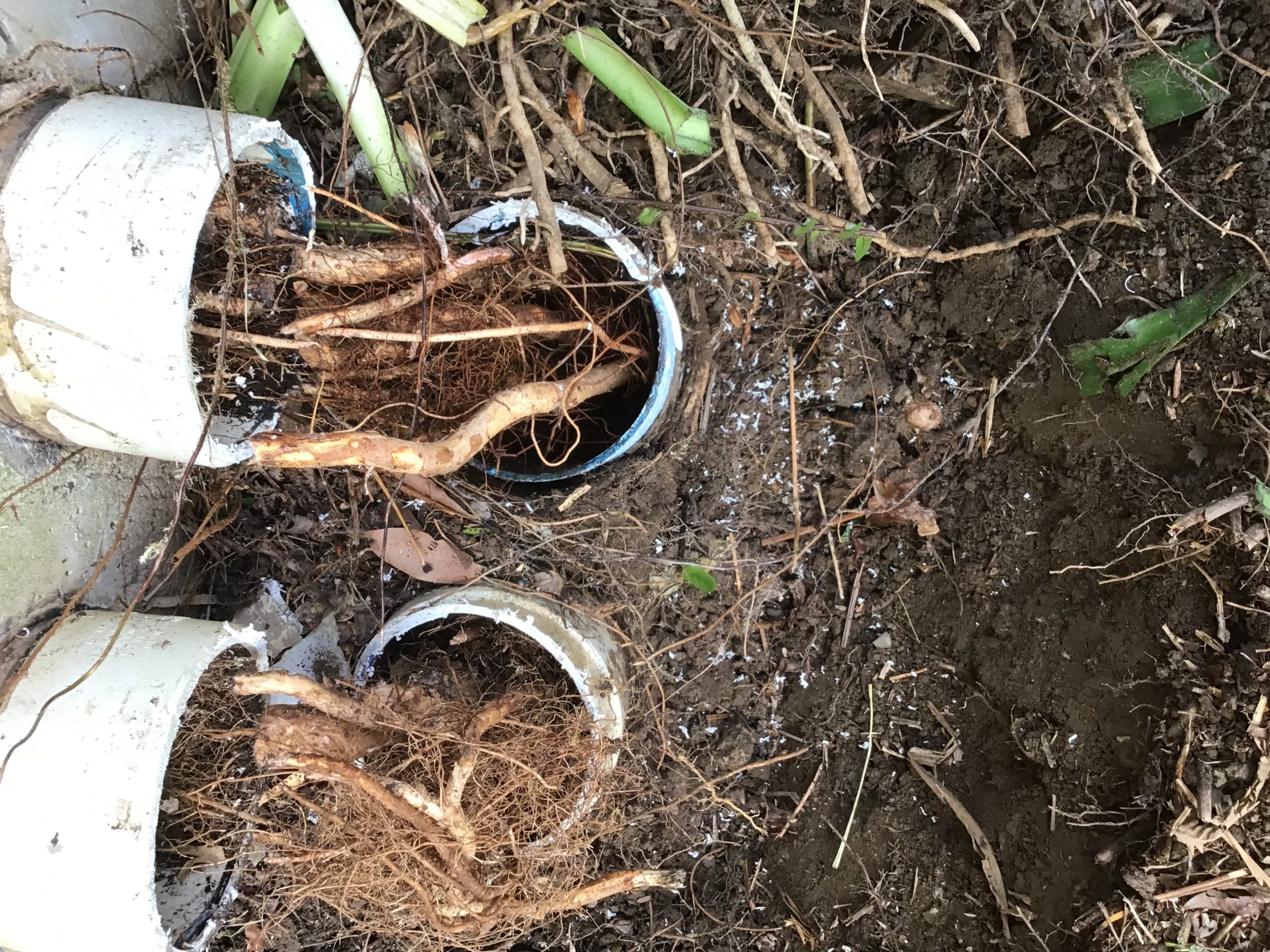 Emergency Water Tank Repair Before Incoming Rain | Coffs Harbour Case Study